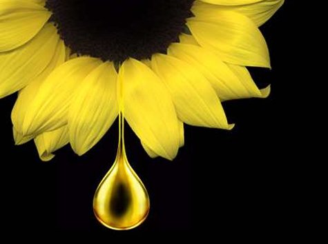 within-garnier-our-heritage-sunflower-with-oil-drop